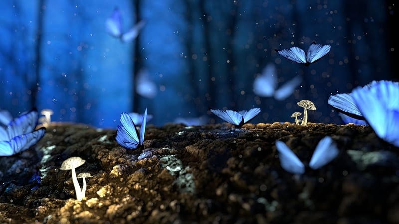 Enchanted Flowers